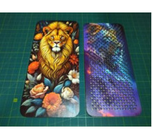 Дошка садху, лев