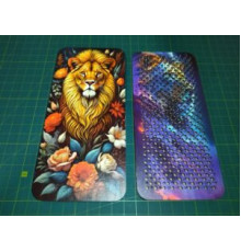 Дошка садху, лев