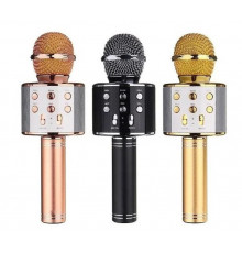 Мікрофон 858 WS (50)