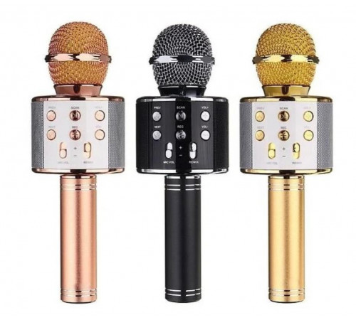 Мікрофон 858 WS (50)