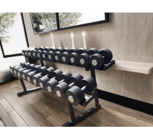 Гантельный ряд 12 кг - 40 кг RN-Sport (Крашенный)