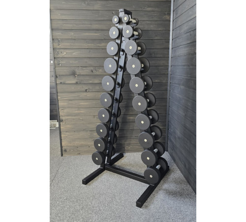 Ряд гантельный RN-Sport BLACK 1-10 кг со стойкой