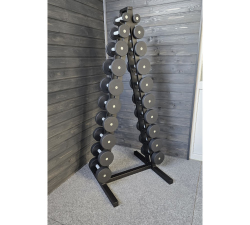 Ряд гантельный RN-Sport BLACK 1-10 кг со стойкой