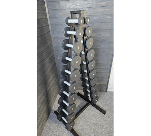 Ряд гантельный RN-Sport BLACK 1-10 кг со стойкой