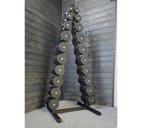Ряд гантельный RN-Sport BLACK 1-10 кг со стойкой