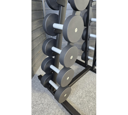Ряд гантельный RN-Sport BLACK 1-10 кг со стойкой
