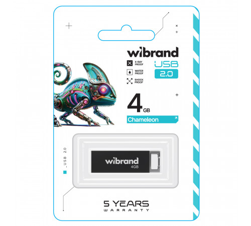 Флеш-накопичувач Wibrand USB 2.0 Chameleon 4Gb Black (WI2.0/CH4U6B)