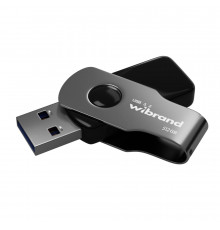 Флеш-накопичувач Wibrand USB 3.2 Gen1 Lizard 512GB Black (WI3.2/LI512P9B)