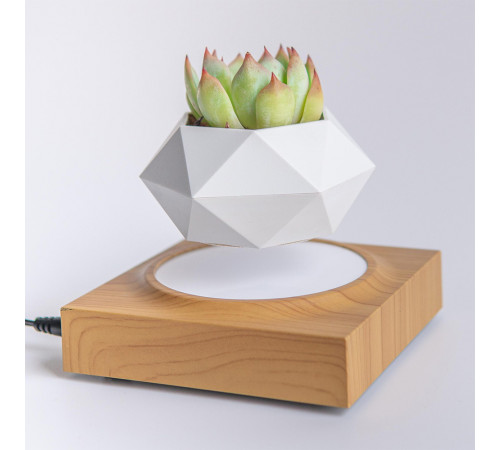 Магнітний левітаційний горщик для рослин HCNT Magnetic Levitating Pot M10-FP  Wood Grain (SIM10-FP)