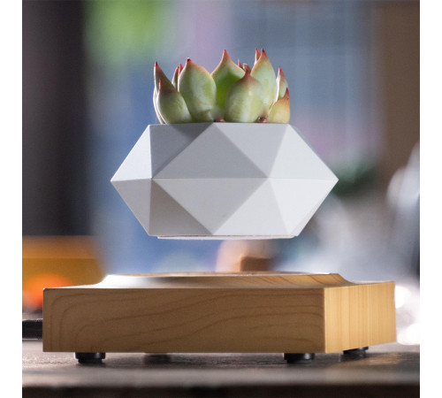 Магнітний левітаційний горщик для рослин HCNT Magnetic Levitating Pot M10-FP  Wood Grain (SIM10-FP)