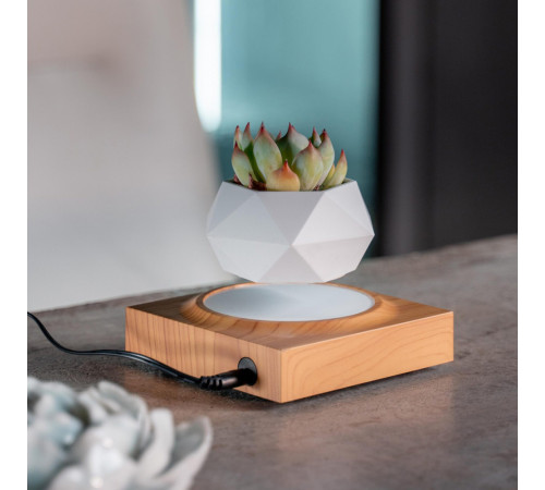 Магнітний левітаційний горщик для рослин HCNT Magnetic Levitating Pot M10-FP  Wood Grain (SIM10-FP)
