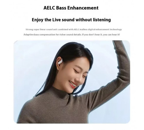 Бездротові навушники TWS ACEFAST FA002 ACEFIT Air wireless earbuds, ENC, IP54, Black (6974316283621)