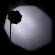Софтбокс Ulanzi AS-D30 Octagonal Softbox, 30cm, Mini Bowens Mount and Grid (UV-L083GBB1 AS-D30) (L083GBB1)