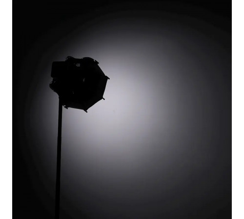 Софтбокс Ulanzi AS-D30 Octagonal Softbox, 30cm, Mini Bowens Mount and Grid (UV-L083GBB1 AS-D30) (L083GBB1)