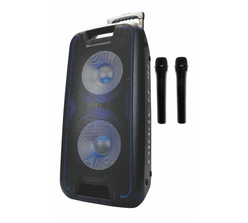 НЕТУ Акустическая система Goldteller GT-6067 с двумя микрофонами