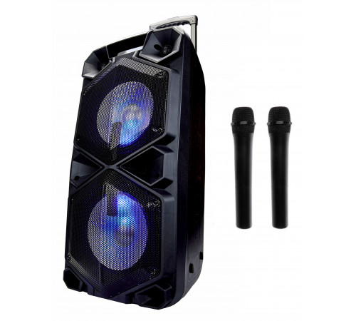 НЕТУ Акустическая система Goldteller GT-6068 с двумя микрофонами