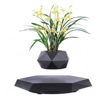 Магнітний левітаційний горщик для рослин HCNT Magnetic Levitating Pot M10-PZ1 Black (SIM10-PZ1)