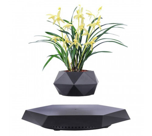 Магнітний левітаційний горщик для рослин HCNT Magnetic Levitating Pot M10-PZ1 Black (SIM10-PZ1)