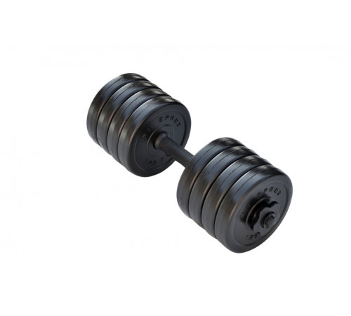 Гантель разборная RN-Sport Long 10 кг