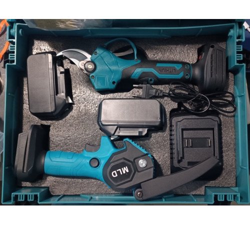 Набор эл.инстр. (2в1) (Пила 6"+Секатор 3,2") (CS0604-2) (СИНИЙ чемодан, 2 аккум. БОЛЬШИЕ 48V) // [307] (4 шт/ящ)