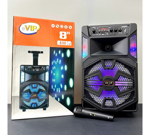 УЦІНКА Колонка VIP 830 з RGB-підсвічуванням та мікрофоном (25,0*24,8*41,3 см) (відірвана деталь всередині)