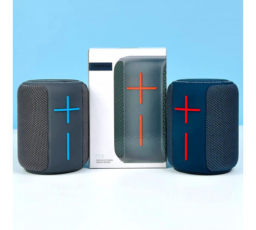УЦІНКА Колонка HOPESTAR P23 Bluetooth з радіо (11,0*8,6 см) (під ремонт)