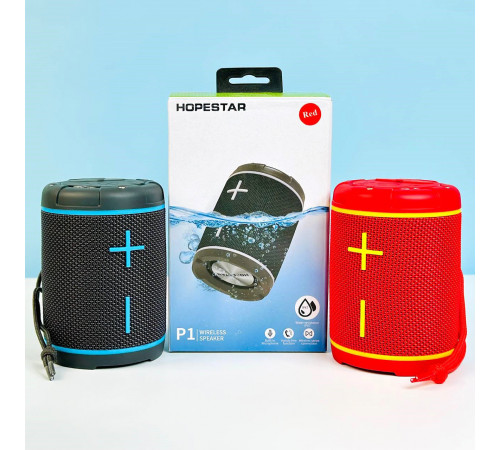 УЦІНКА Портативна колонка HOPESTAR P1 з радіо (12,3*8,7 см) (під ремонт)
