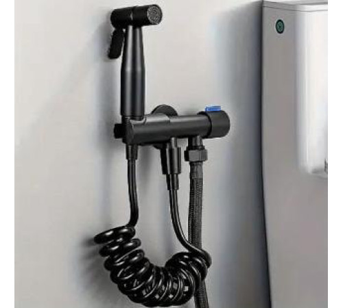 Сместитель Ручной набор для биде, распылитель из нержавеющей стали  AA22-2 (72)