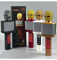 Мікрофон DM Караоке WS1828