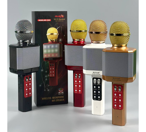 Мікрофон DM Караоке WS1828