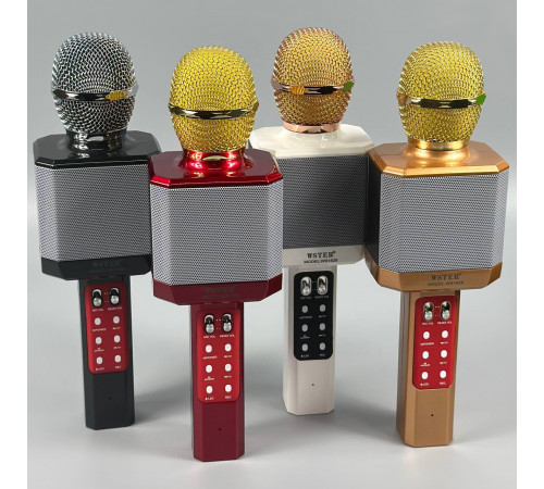 Мікрофон DM Караоке WS1828