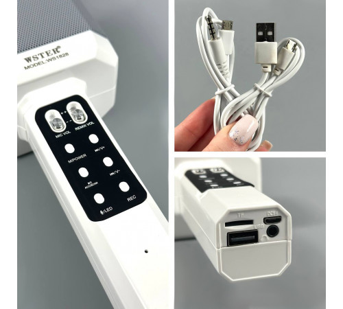 Мікрофон DM Караоке WS1828