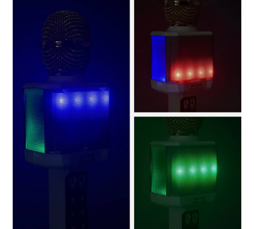 Мікрофон DM Караоке WS1828