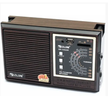 Радио USB GOLON RX-9933   (24)