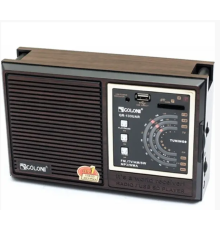 Радіо USB GOLON RX-9933 (24)