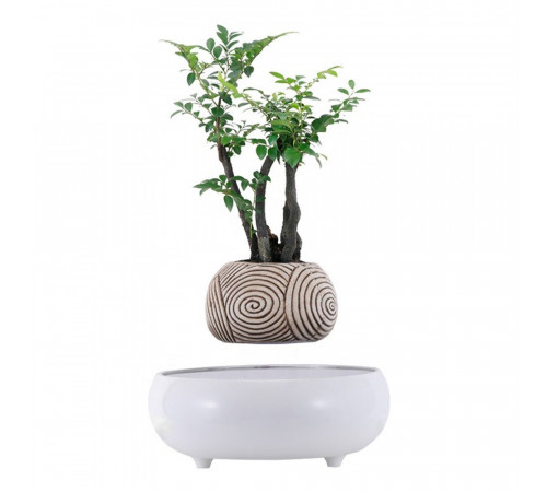 Магнітний левітаційний горщик для рослин HCNT Magnetic Levitating Pot M5B-PW-T White (M005B-PW-T)