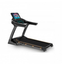 Беговая дорожка EnergyFIT 480S (15,6" LСD wifi)