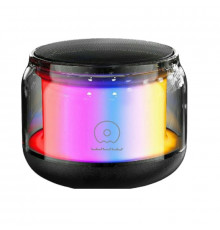 Портативна колонка WUW-R213, 3W, Black (R213)