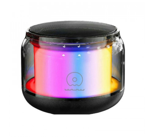 Портативна колонка WUW-R213, 3W, Black (R213)