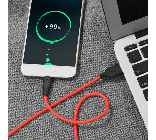 Кабель HOCO X21 USB to Type-C 2A, 1m, silicone, TPE connectors,  Black+Red (6957531071419)