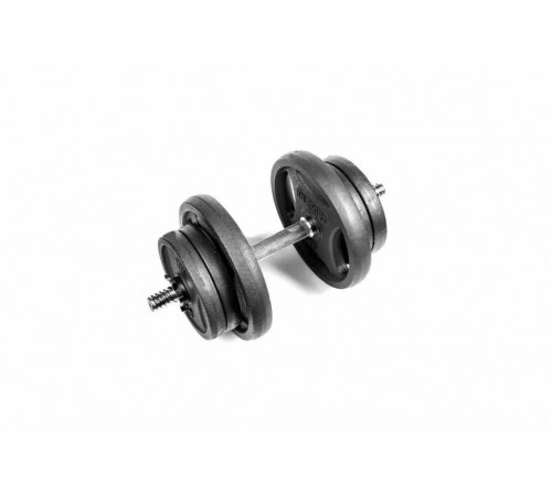Гантель разборная RN-Sport 21 кг металлическая (RN_QTR21)