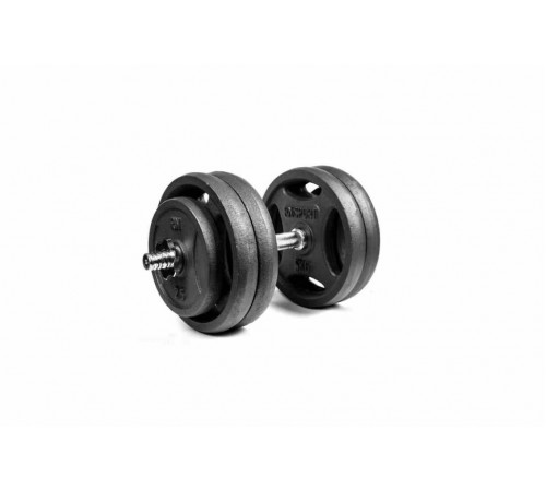 Гантель разборная RN-Sport 26 кг металл (RN_QTR26)
