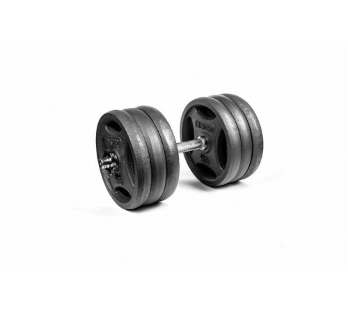 Гантель разборная металлическая RN-Sport 31 кг (RN_QTR31)