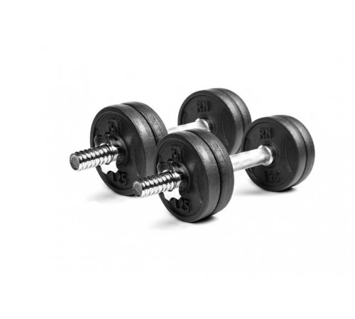 Гантели разборные металлические 2 по 6 кг RN-Sport