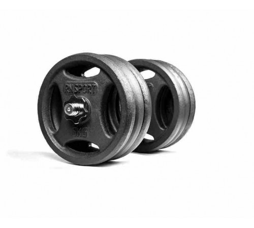 Гантели разборные RN-Sport 2 по 31 кг металлические