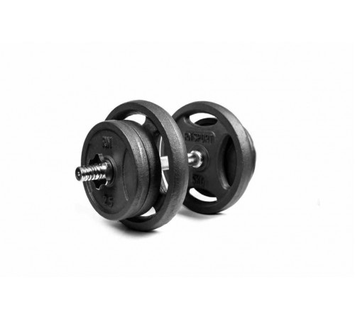Гантели разборные RN-Sport 2 по 21 кг металлические