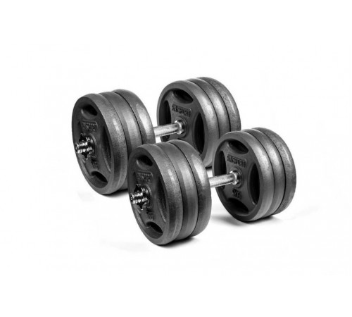 Гантели разборные RN-Sport 2 по 31 кг металлические