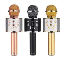 Микрофон 858 WS (50)