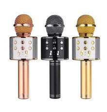 Мікрофон 858 WS (50)