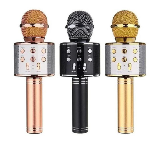 Микрофон 858 WS (50)